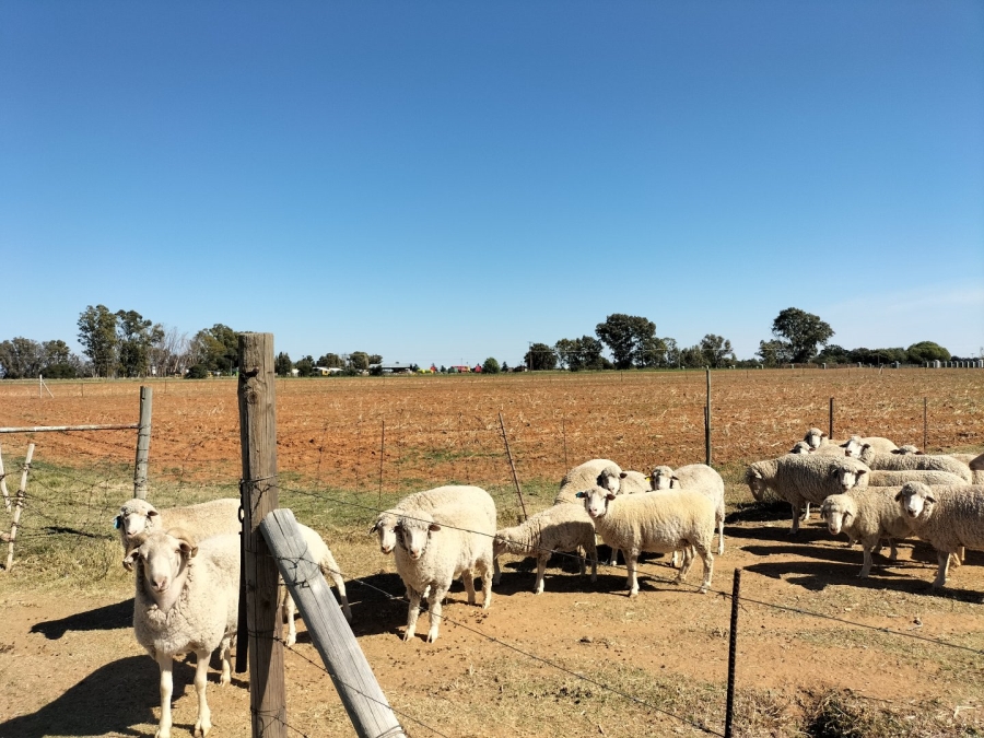 Commercial Property for Sale in Bainsvlei Free State